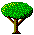 tree!